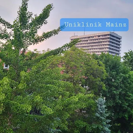 Проживание в семье An Der Uniklinik Mainz, Sehr Zentral *